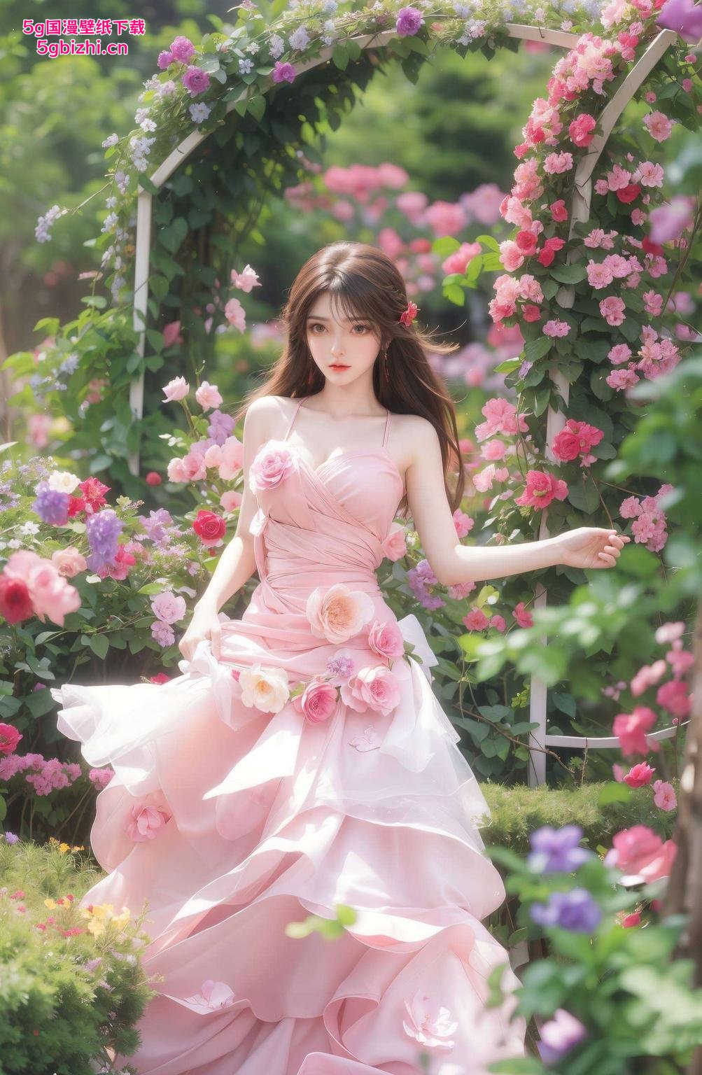 2K分辨率免费放送