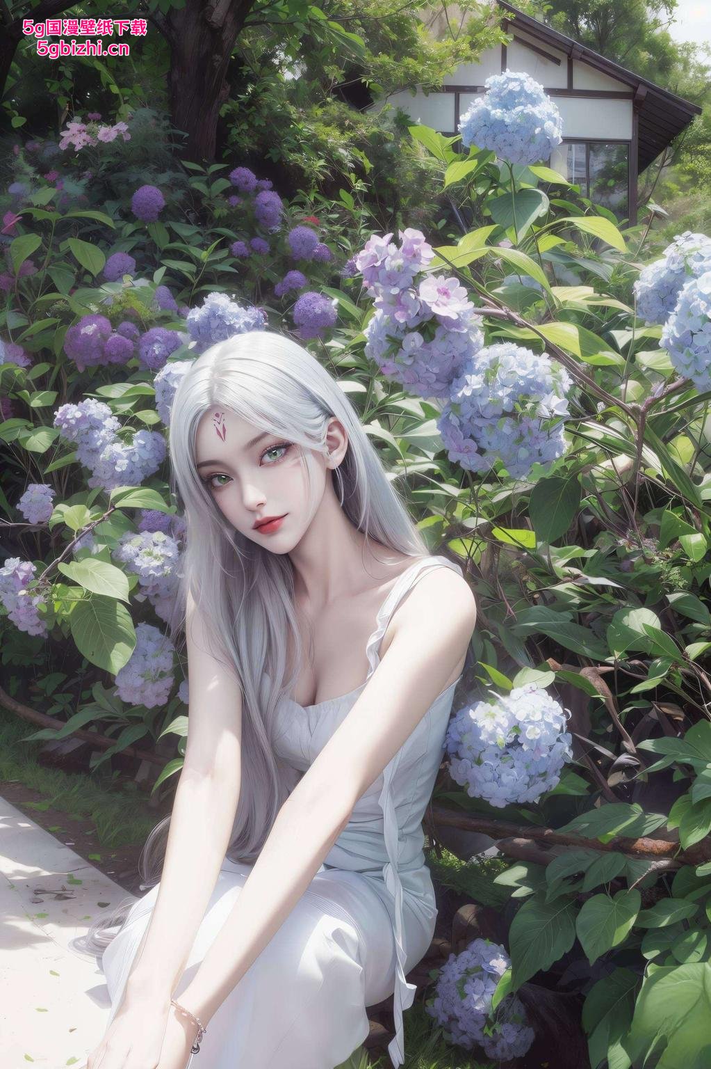 国韵之美尽收眼底高清细腻